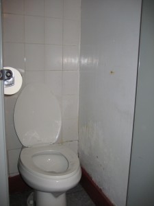 The other toilet that started it all.