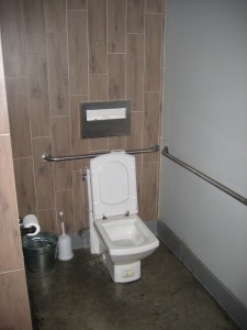 blue whale men's toilet: it still has the rectangular toilet seat.