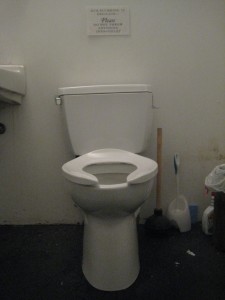 The Stone toilet