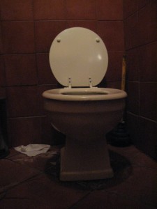 Smoke toilet