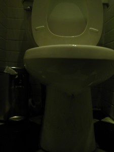 ZirZamin Left Side Toilet