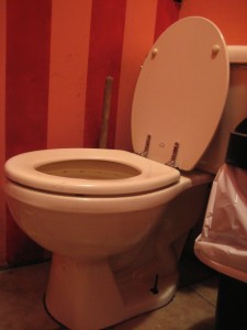 Caffe Vivaldi women's toilet