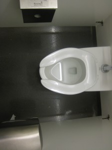 BRIC House toilet