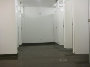 BRIC House women's stalls