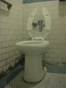 Silvana toilet