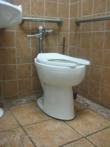 WBGO downstairs toilet