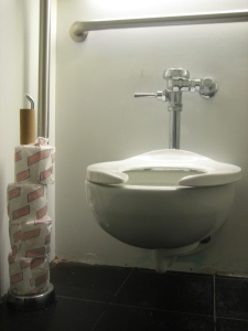 Subrosa left side toilet